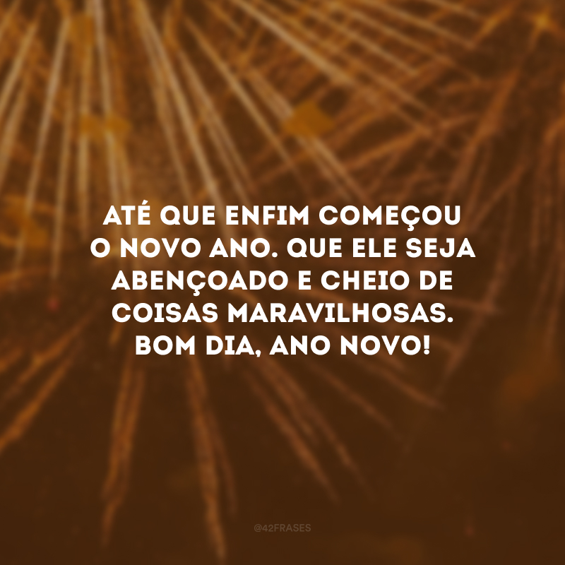 Até que enfim começou o novo ano. Que ele seja abençoado e cheio de coisas maravilhosas. Bom dia, Ano Novo!