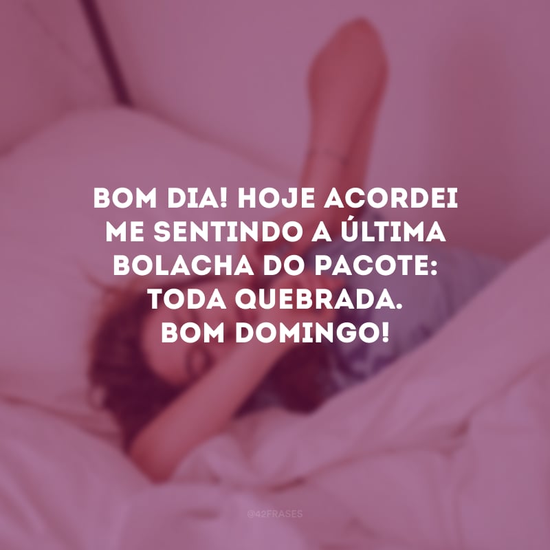 Bom dia! Hoje acordei me sentindo a última bolacha do pacote: toda quebrada. Bom domingo!