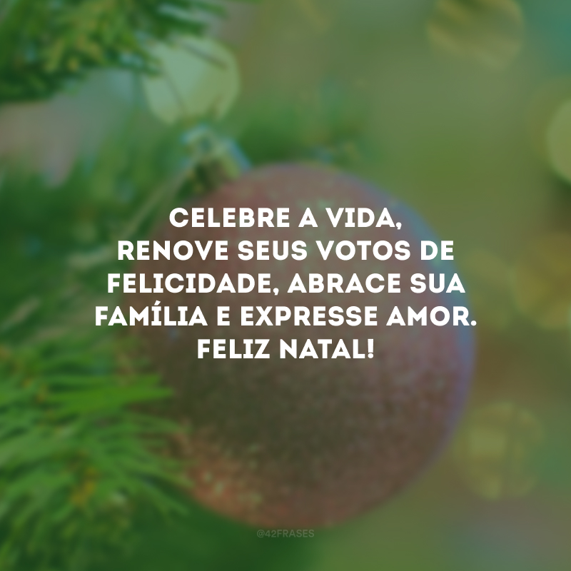 Celebre a vida, renove seus votos de felicidade, abrace sua família e expresse amor. Feliz Natal!