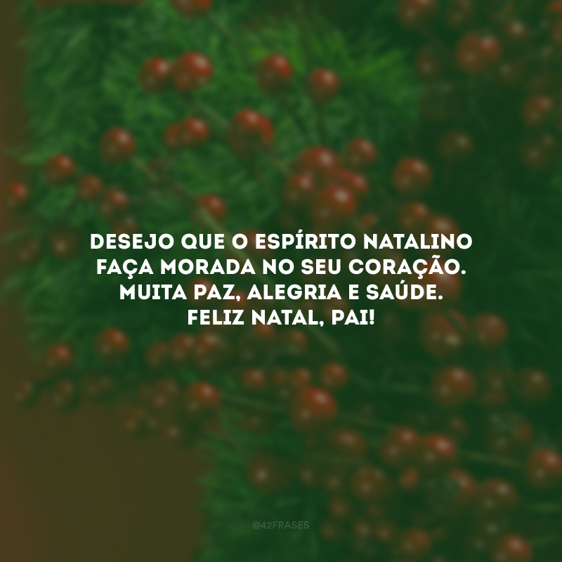 Desejo que o espírito natalino faça morada no seu coração. Muita paz, alegria e saúde. Feliz Natal, pai!