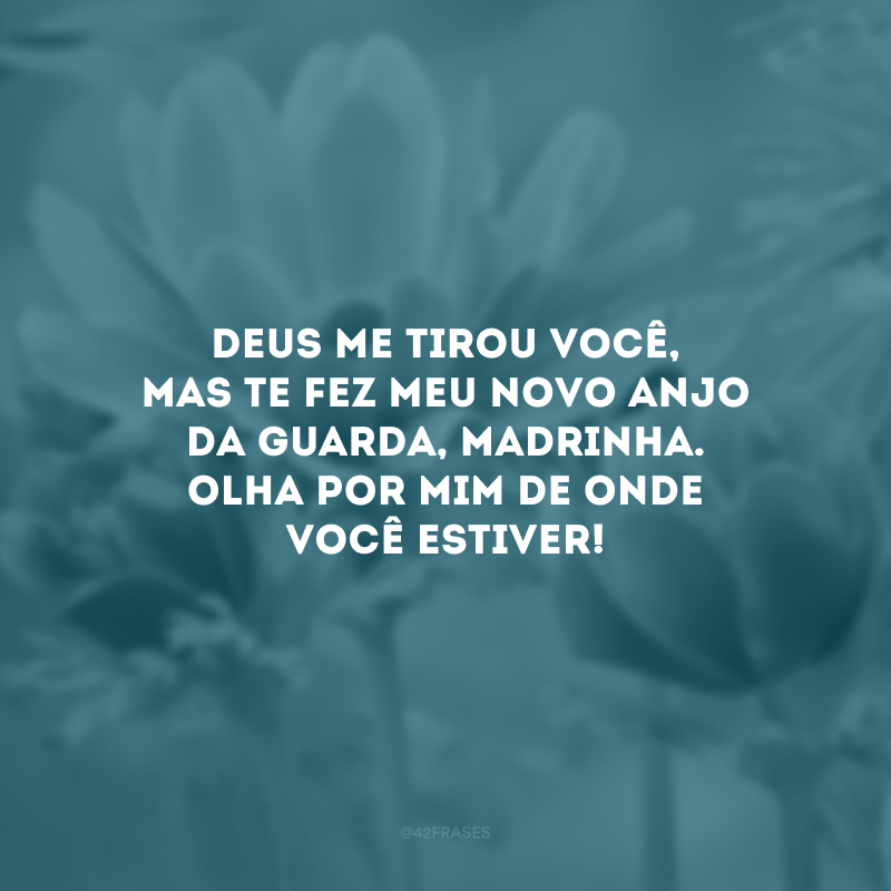 Deus me tirou você, mas te fez meu novo anjo da guarda, madrinha. Olha por mim de onde você estiver!