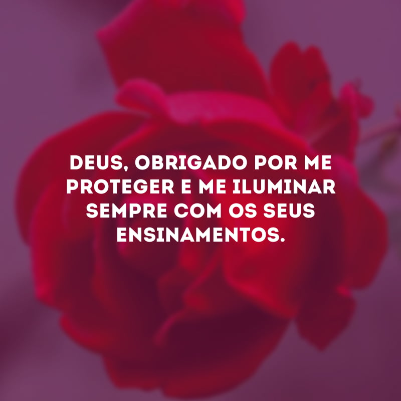 Deus, obrigado por me proteger e me iluminar sempre com os seus ensinamentos. 