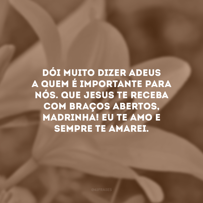 Dói muito dizer adeus a quem é importante para nós. Que Jesus te receba com braços abertos, madrinha! Eu te amo e sempre te amarei.