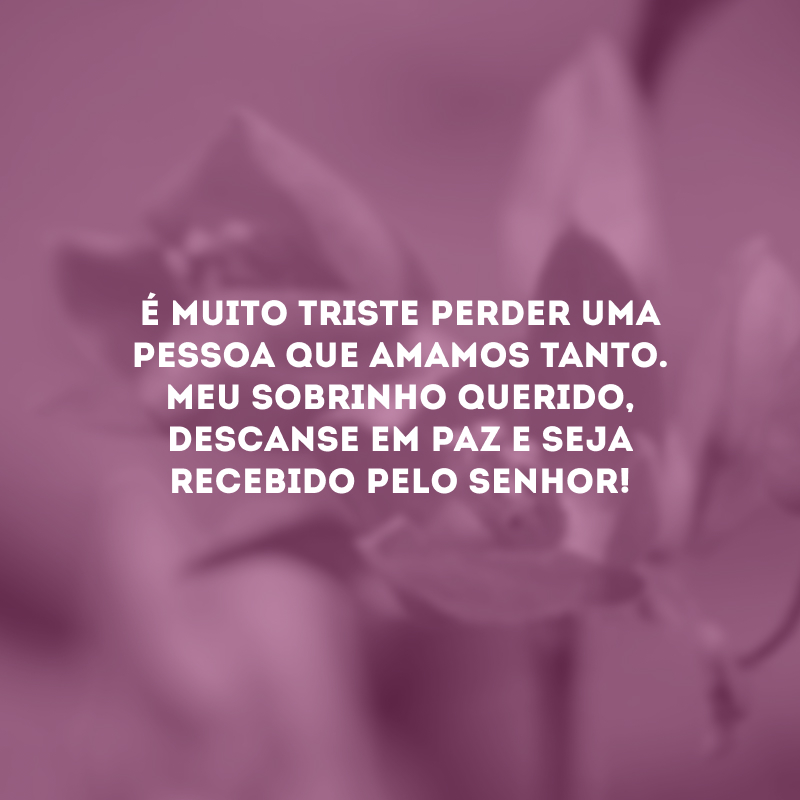 É muito triste perder uma pessoa que amamos tanto. Meu sobrinho querido, descanse em paz e seja recebido pelo Senhor!