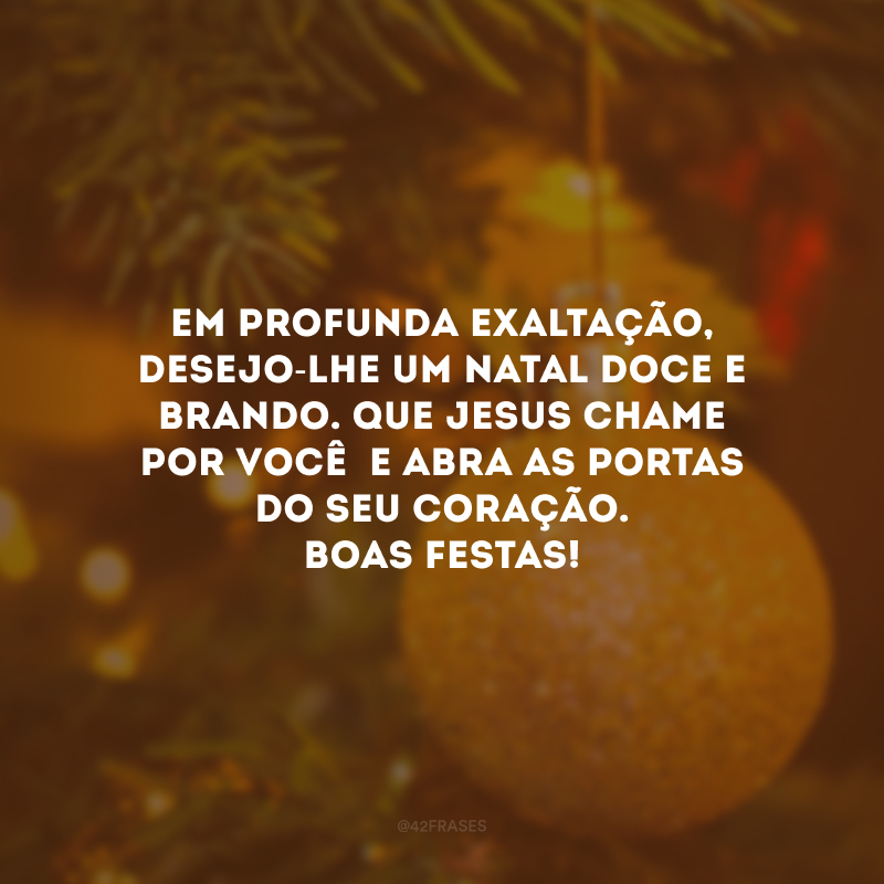 Em profunda exaltação, desejo-lhe um Natal doce e brando. Que Jesus chame por você  e abra as portas do seu coração. Boas festas!