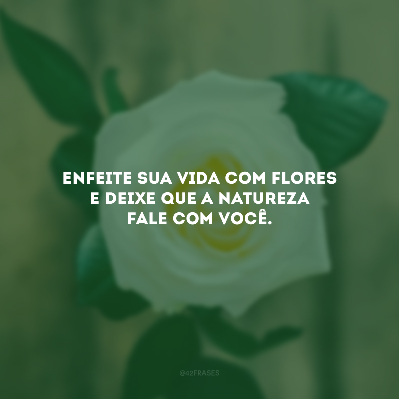 Enfeite sua vida com flores e deixe que a natureza fale com você.