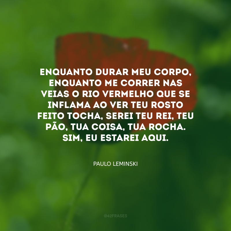 Enquanto durar meu corpo, enquanto me correr nas veias o rio vermelho que se inflama ao ver teu rosto feito tocha, serei teu rei, teu pão, tua coisa, tua rocha. Sim, eu estarei aqui.