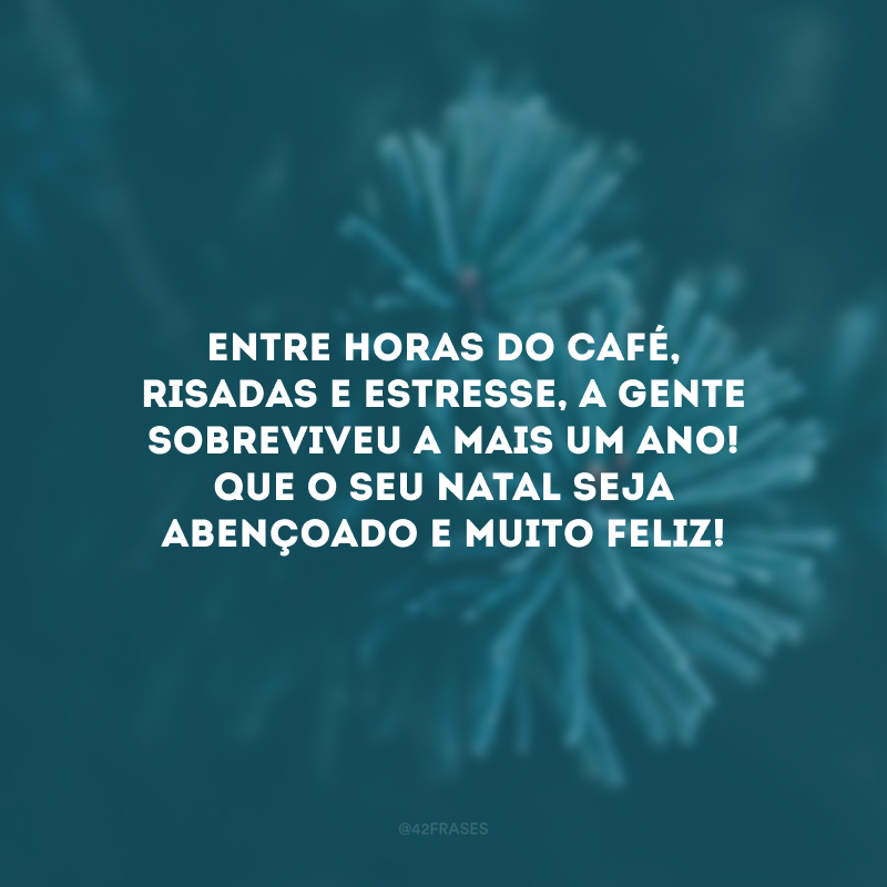 Entre horas do café, risadas e estresse, a gente sobreviveu a mais um ano! Que o seu Natal seja abençoado e muito feliz! 