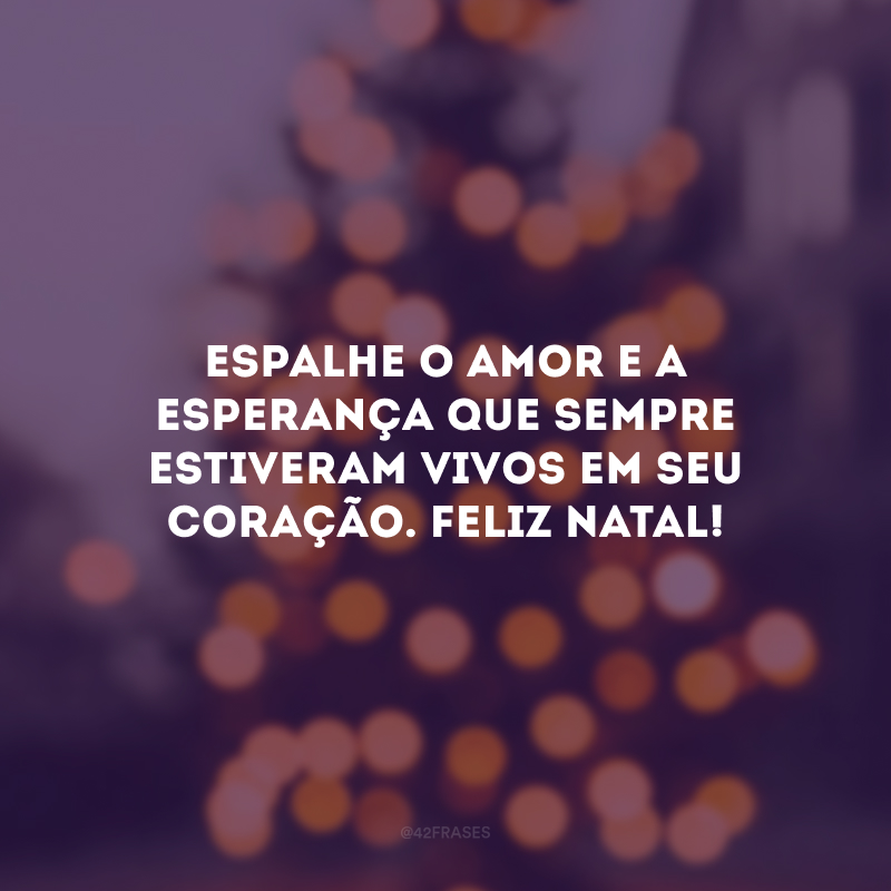 Espalhe o amor e a esperança que sempre estiveram vivos em seu coração. Feliz Natal!