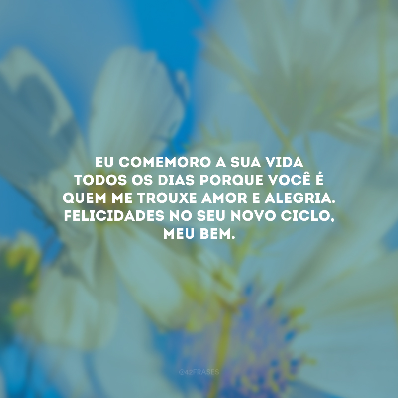 Eu comemoro a sua vida todos os dias porque você é quem me trouxe amor e alegria. Felicidades no seu novo ciclo, meu bem.