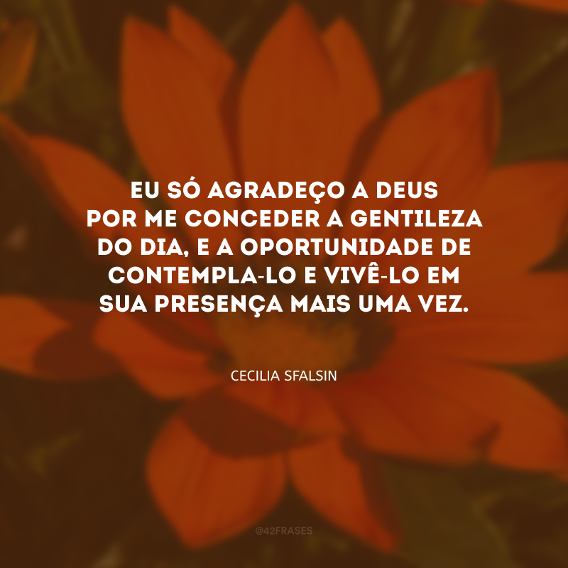 Eu só agradeço a Deus por me conceder a gentileza do dia, e a oportunidade de contempla-lo e vivê-lo em sua presença mais uma vez.