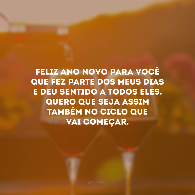 Feliz Ano Novo para você que fez parte dos meus dias e deu sentido a todos eles. Quero que seja assim também no ciclo que vai começar.