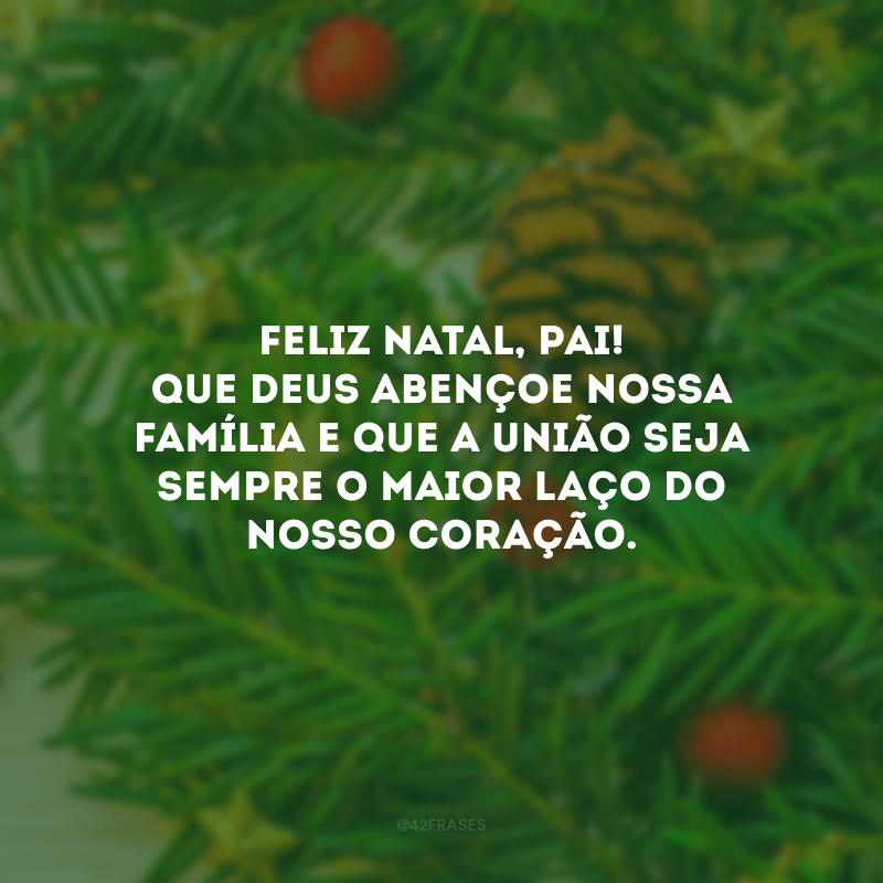 Feliz Natal, pai! Que Deus abençoe nossa família e que a união seja sempre o maior laço do nosso coração.