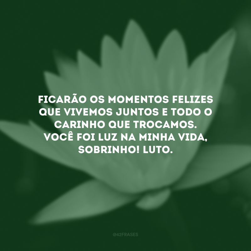 Ficarão os momentos felizes que vivemos juntos e todo o carinho que trocamos. Você foi luz na minha vida, sobrinho! Luto.