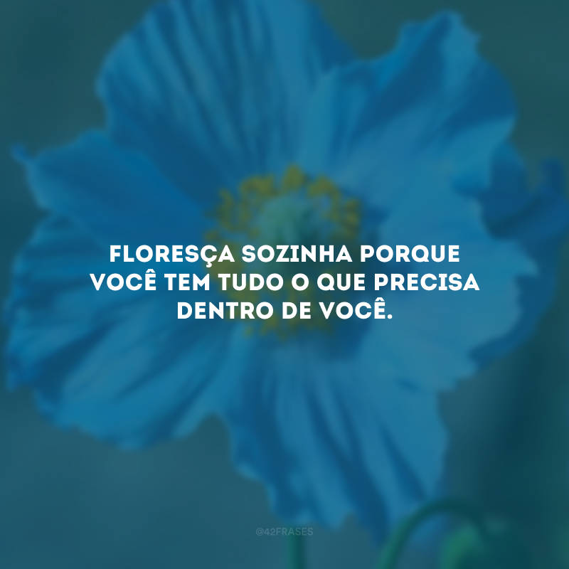 Floresça sozinha porque você tem tudo o que precisa dentro de você.