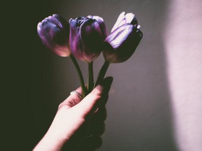 55 frases de boa noite com flores para perfumar seus sonhos