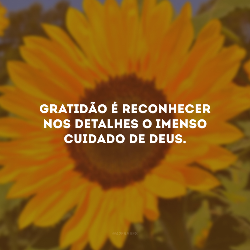 Gratidão é reconhecer nos detalhes o imenso cuidado de Deus. 