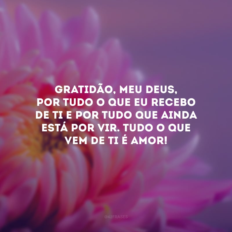 Gratidão, meu Deus, por tudo o que eu recebo de Ti e por tudo que ainda está por vir. Tudo o que vem de Ti é amor!