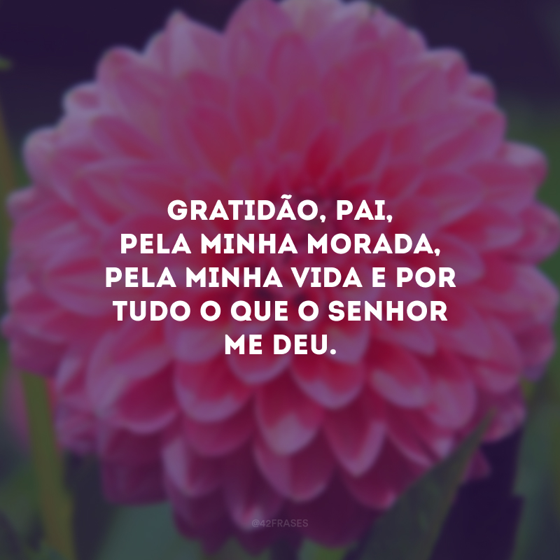 Gratidão, Pai, pela minha morada, pela minha vida e por tudo o que o Senhor me deu. 