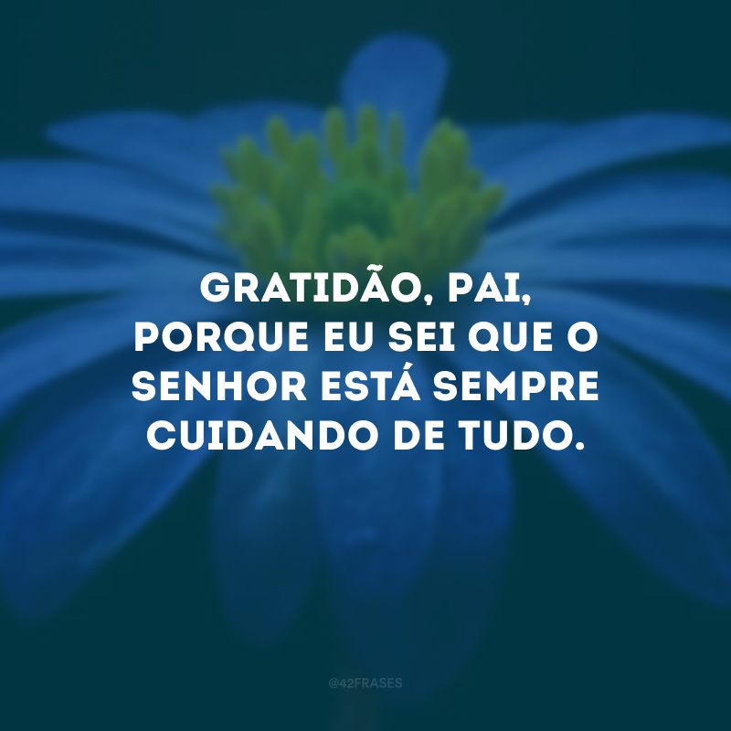 Gratidão, Pai, porque eu sei que o Senhor está sempre cuidando de tudo. 