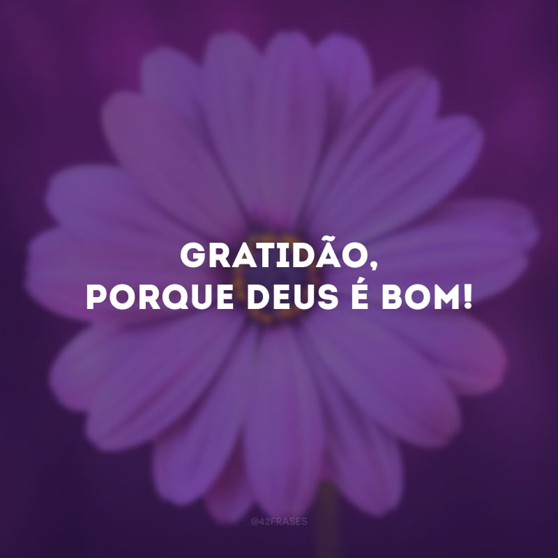 Gratidão, porque Deus é bom! 