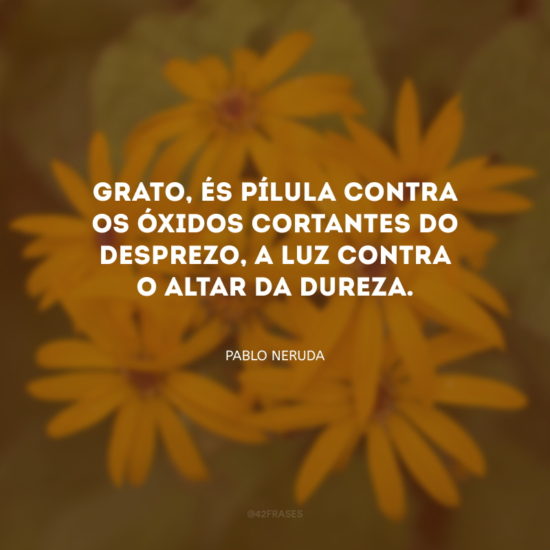 Grato, és pílula contra os óxidos cortantes do desprezo, a luz contra o altar da dureza.