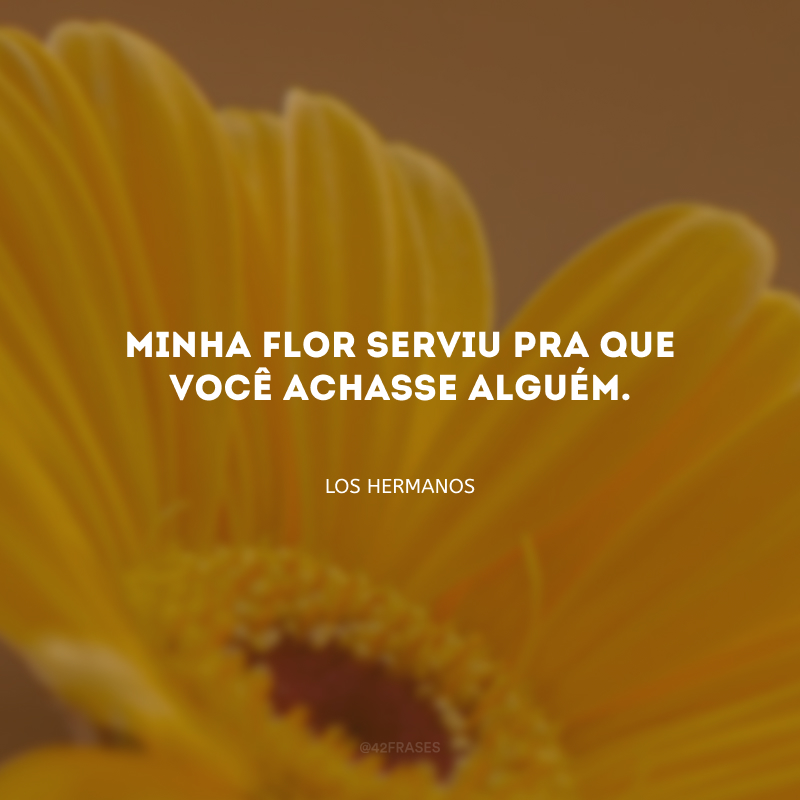 Minha flor serviu pra que você achasse alguém.