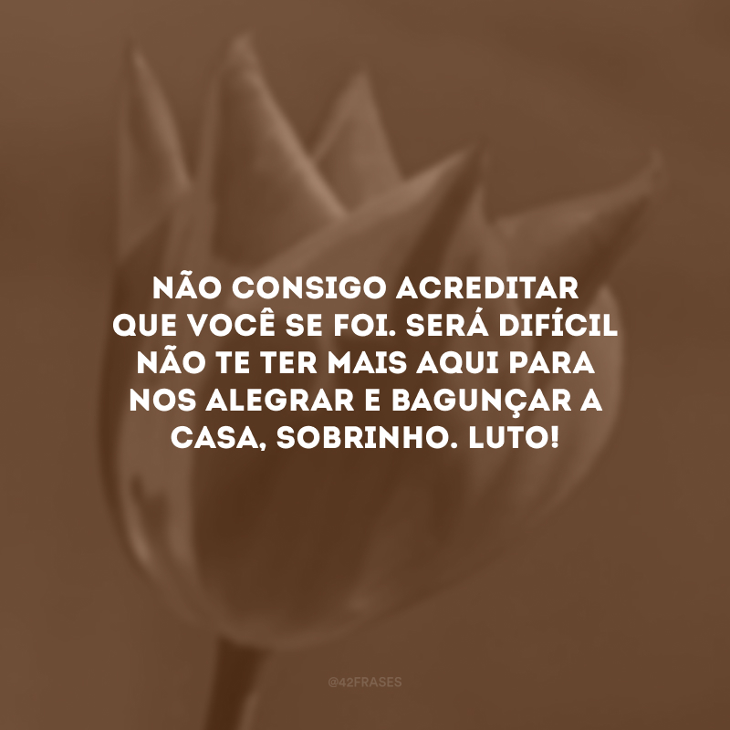 Não consigo acreditar que você se foi. Será difícil não te ter mais aqui para nos alegrar e bagunçar a casa, sobrinho. Luto!