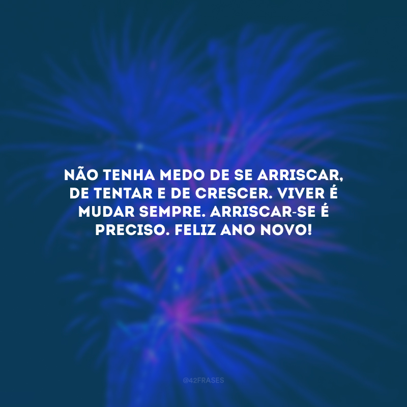 Não tenha medo de se arriscar, de tentar e de crescer. Viver é mudar sempre. Arriscar-se é preciso. Feliz Ano Novo!