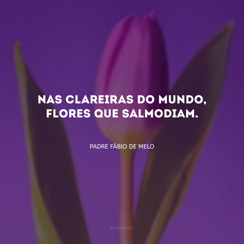 Nas clareiras do mundo, flores que salmodiam.