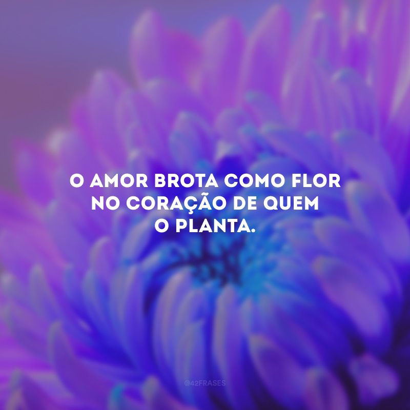 O amor brota como flor no coração de quem o planta.