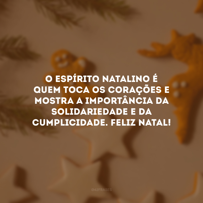 O espírito natalino é quem toca os corações e mostra a importância da solidariedade e da cumplicidade. Feliz Natal!