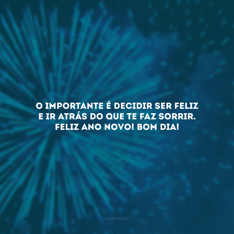 O importante é decidir ser feliz e ir atrás do que te faz sorrir. Feliz Ano Novo! Bom dia!