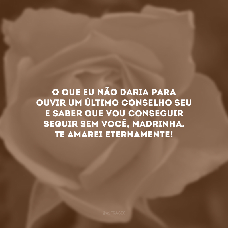 O que eu não daria para ouvir um último conselho seu e saber que vou conseguir seguir sem você, madrinha. Te amarei eternamente!