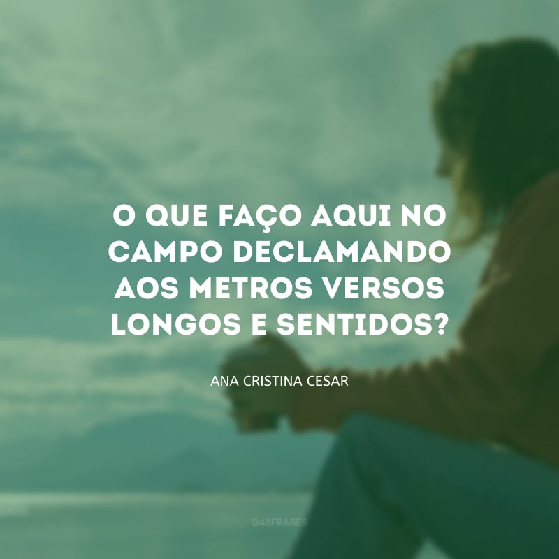 O que faço aqui no campo declamando aos metros versos longos e sentidos?