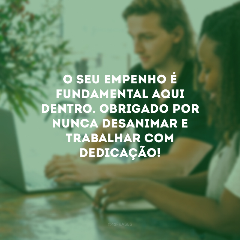 O seu empenho é fundamental aqui dentro. Obrigado por nunca desanimar e trabalhar com dedicação!