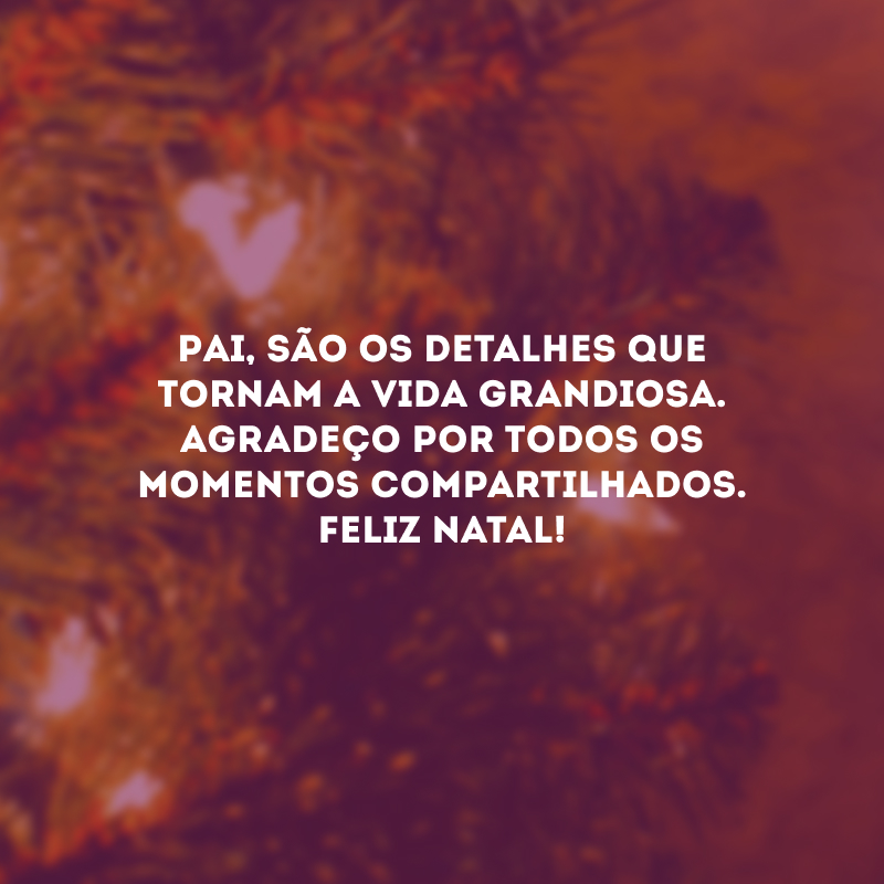 Pai, são os detalhes que tornam a vida grandiosa. Agradeço por todos os momentos compartilhados. Feliz Natal!