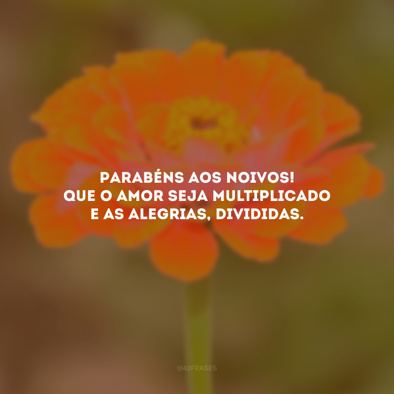 Parabéns aos noivos! Que o amor seja multiplicado e as alegrias, divididas.