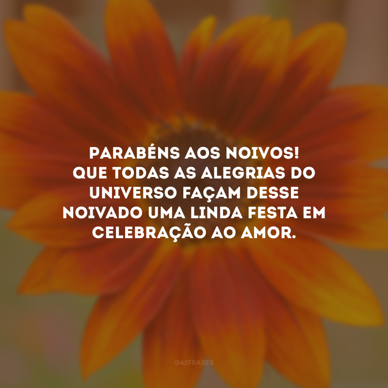 Parabéns aos noivos! Que todas as alegrias do universo façam desse noivado uma linda festa em celebração ao amor. 