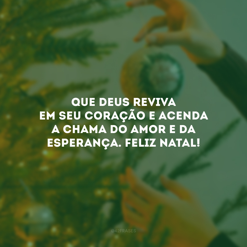 Que Deus reviva em seu coração e acenda a chama do amor e da esperança. Feliz Natal!