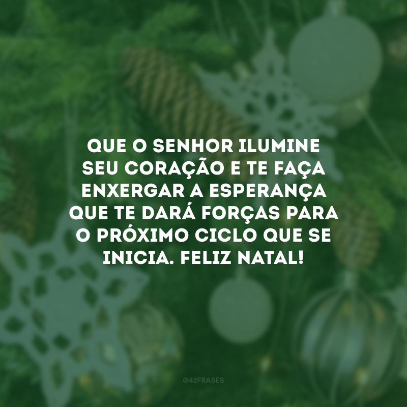 Que o Senhor ilumine seu coração e te faça enxergar a esperança que te dará forças para o próximo ciclo que se inicia. Feliz Natal!