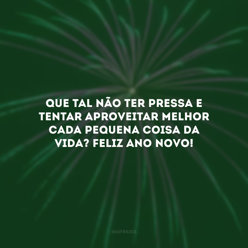 Que tal não ter pressa e tentar aproveitar melhor cada pequena coisa da vida? Feliz Ano Novo!