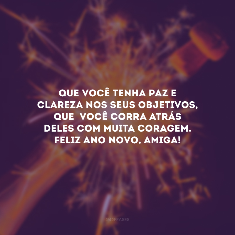 Que você tenha paz e clareza nos seus objetivos, que  você corra atrás deles com muita coragem. Feliz Ano Novo, amiga!