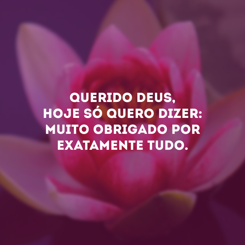 Querido Deus, hoje só quero dizer: muito obrigado por exatamente tudo. 