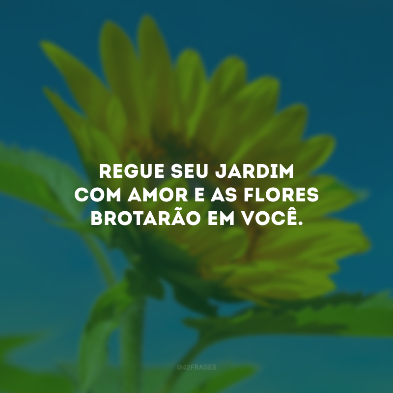 Regue seu jardim com amor e as flores brotarão em você.