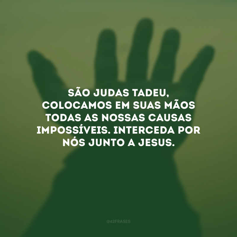 São Judas Tadeu, colocamos em suas mãos todas as nossas causas impossíveis. Interceda por nós junto a Jesus. 