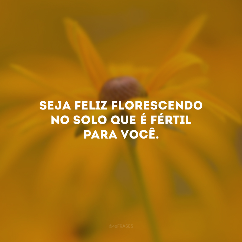 Seja feliz florescendo no solo que é fértil para você.