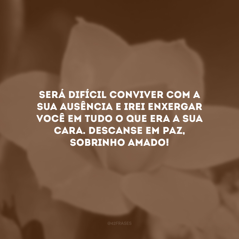 Será difícil conviver com a sua ausência e irei enxergar você em tudo o que era a sua cara. Descanse em paz, sobrinho amado!