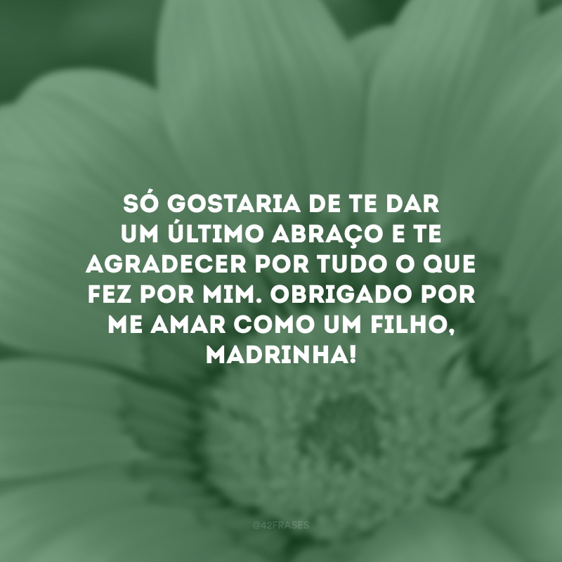 Só gostaria de te dar um último abraço e te agradecer por tudo o que fez por mim. Obrigado por me amar como um filho, madrinha!