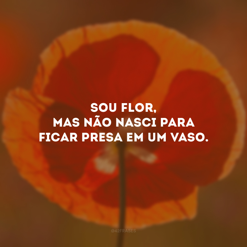 Sou flor, mas não nasci para ficar presa em um vaso.